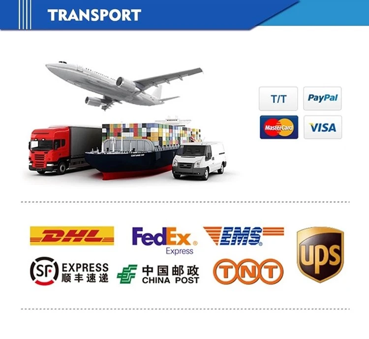 Transport from Ali-1 Transport from Ali-1